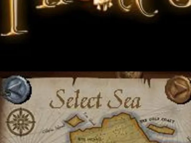Pirates: Duels on the High Seas