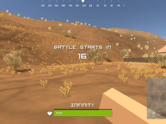 Pixel Royale