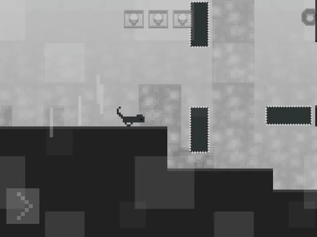 Planet Squirrel