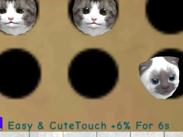 Play Kittens