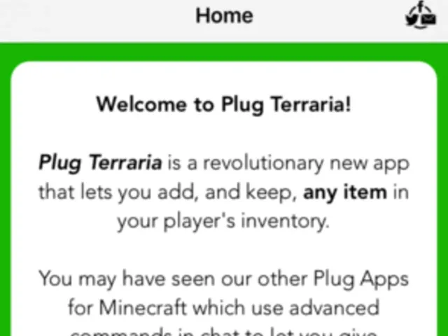 Plug for Terraria