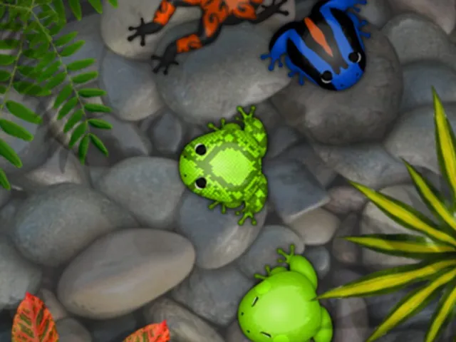 Pocket Frogs