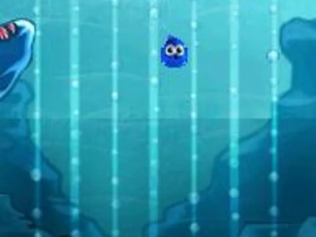 Pogo Island