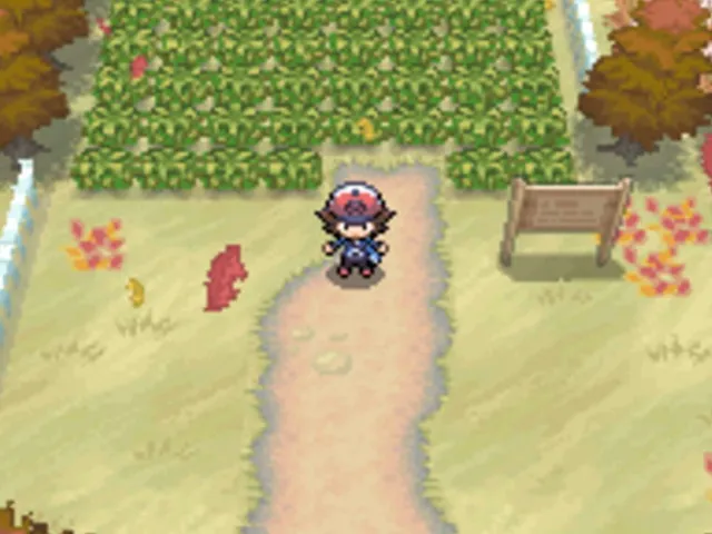 Pokémon Black Version