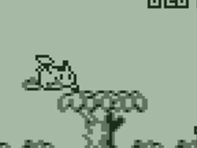 Pokémon Race Mini