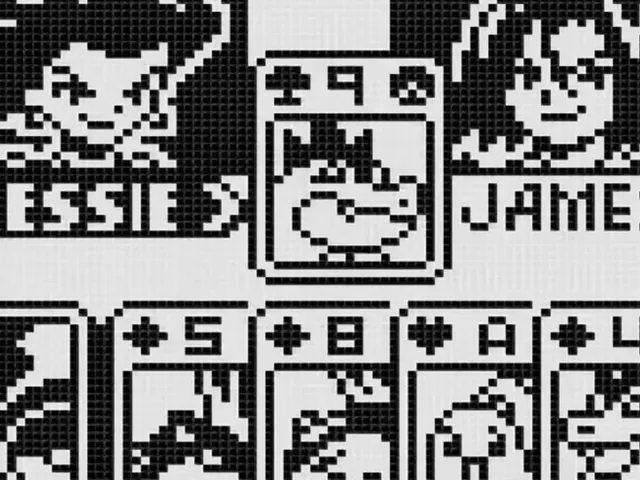 Pokémon Zany Cards