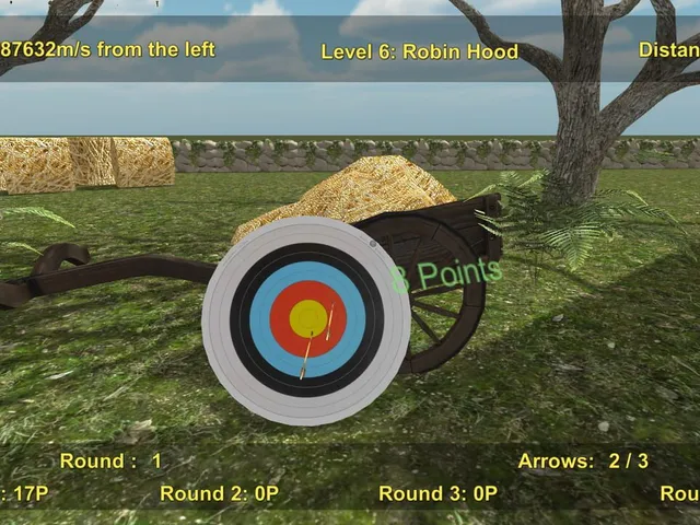 Precision Archery: Competitive