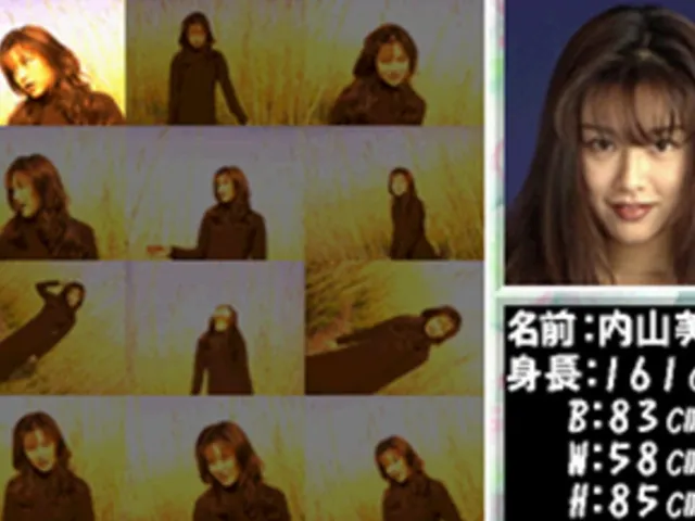 Private Idol Disc Vol. 2: Uchiyama Miki