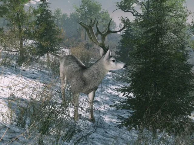 Pro Deer Hunting: Out West