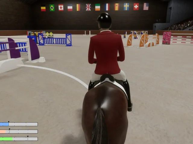 Pro Show Jumping