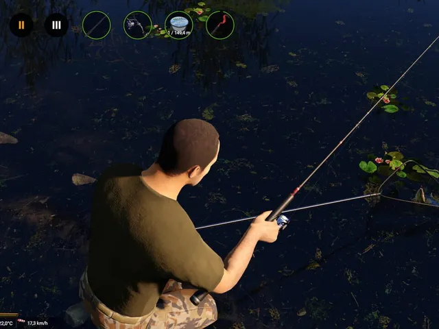 Professional Fishing 2