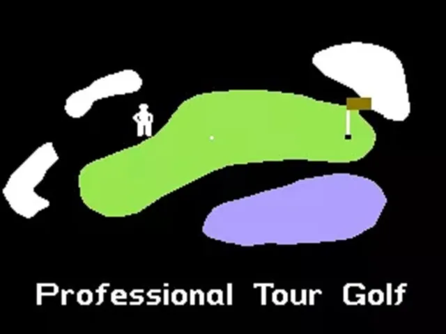 Professional Tour Golf