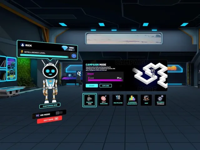Programmer VR