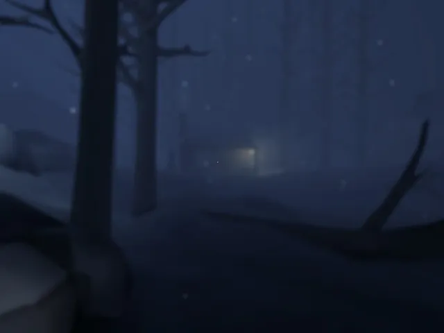 Project Cabin