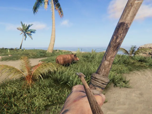 Project Castaway