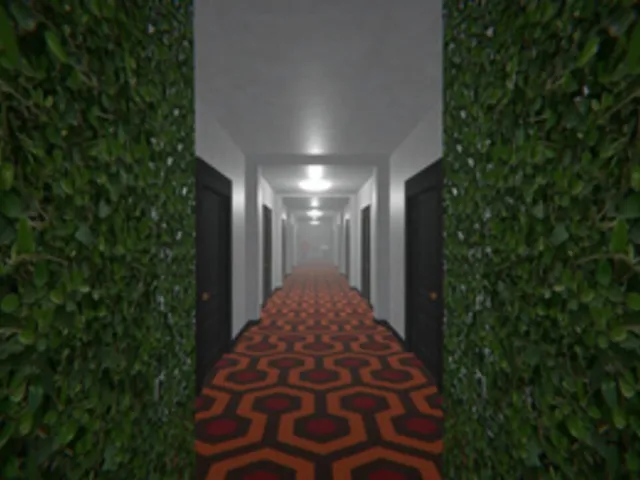 Project Maze