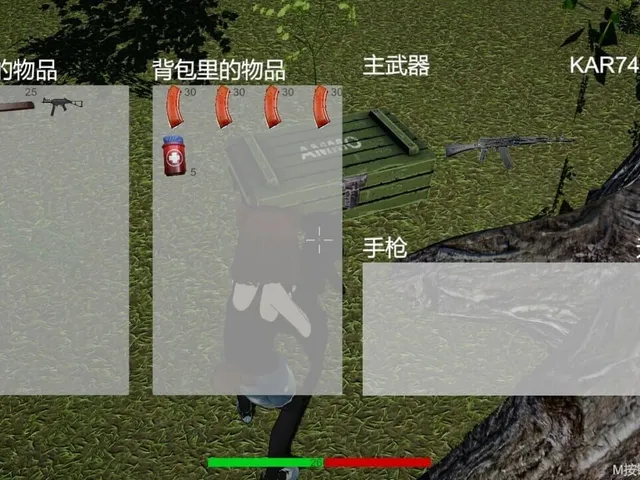 Project Mercenaria