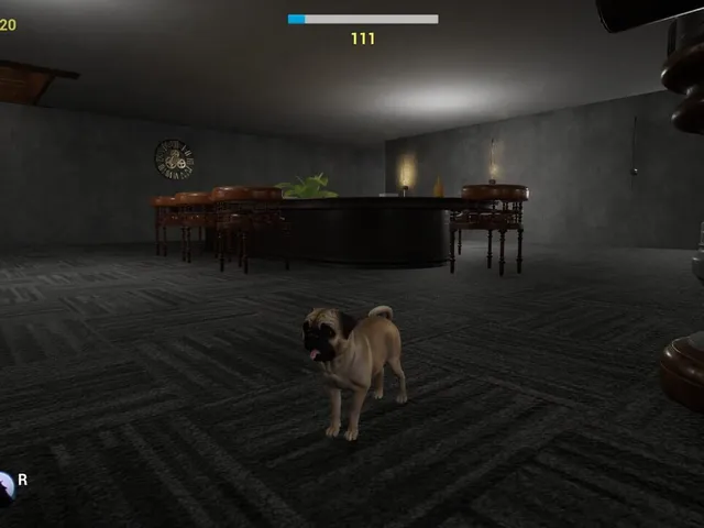 Pug and Seek