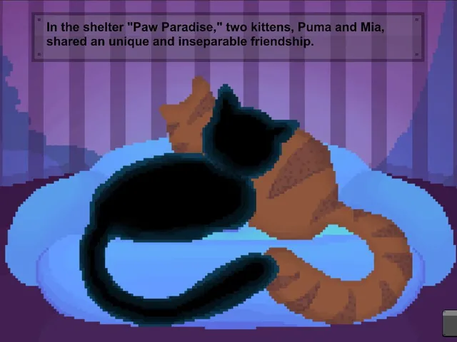 Puma: The Cat