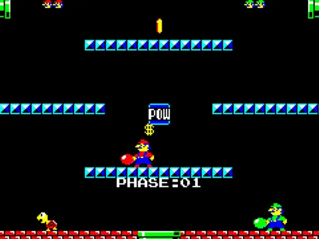 Punch Ball Mario Bros.