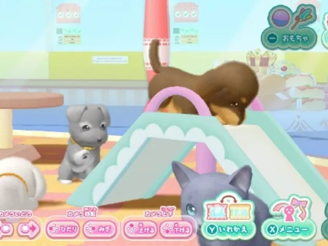 Pups & Purrs Pet Shop