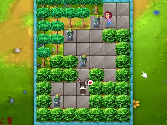 Push Puzzle: Rescue Adventure