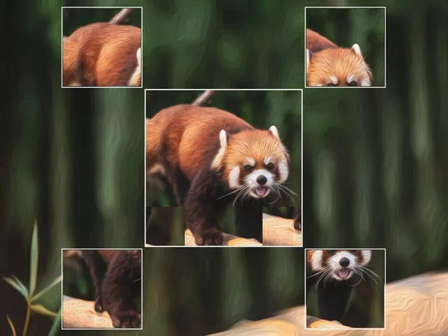 Puzzle Art: Predators