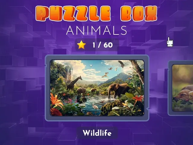 Puzzle Box: Animals