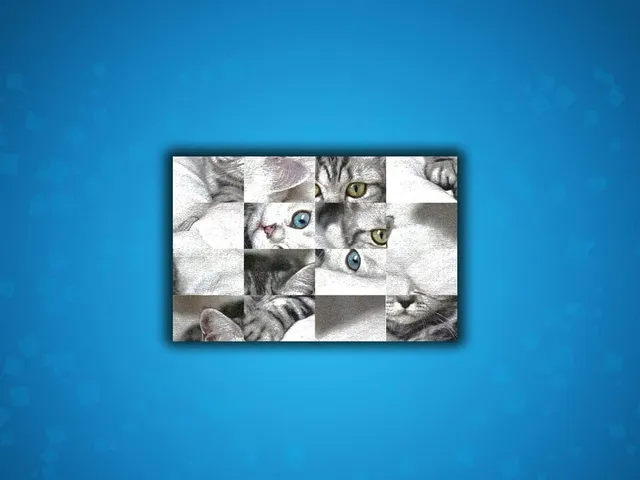 Puzzle: Cats & Dogs