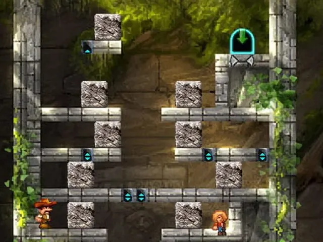 Puzzle Expedition