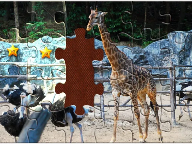 Puzzle Go