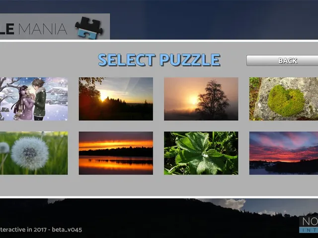 Puzzle Mania