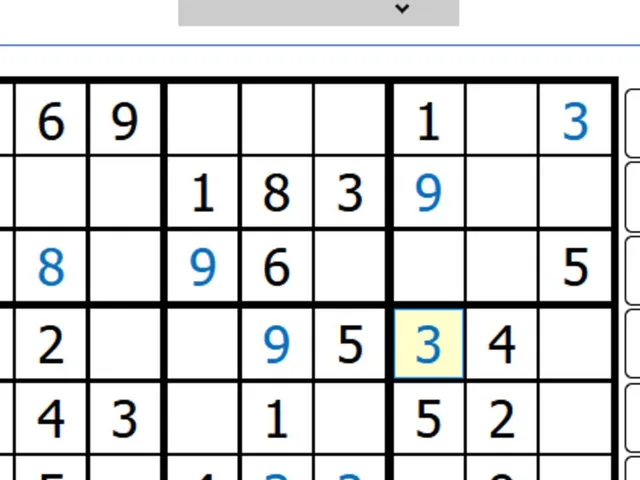 Puzzle Sudoku
