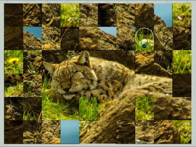 Puzzle Vacations: France