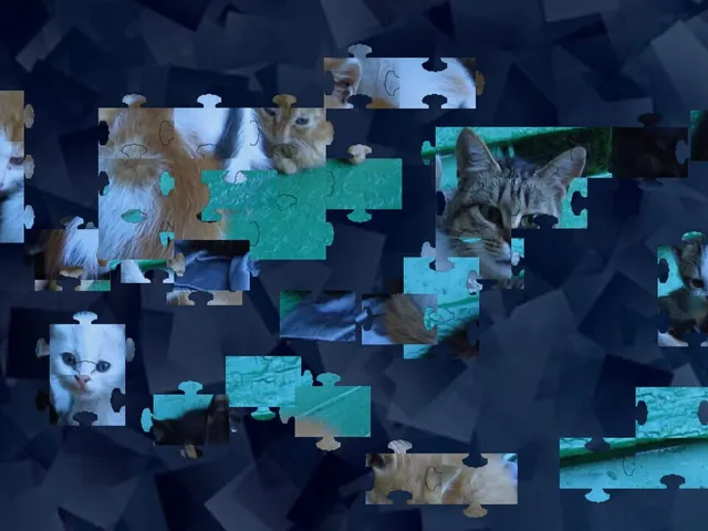 Puzzles for smart: Cats