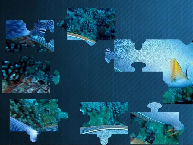 Puzzles for smart: Underwater Kingdom