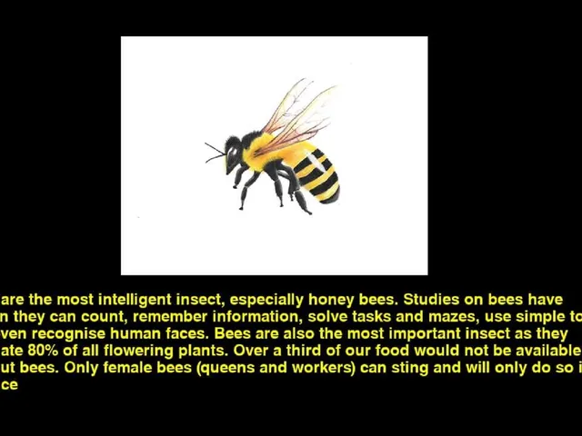 Quiz & Learn: Animals