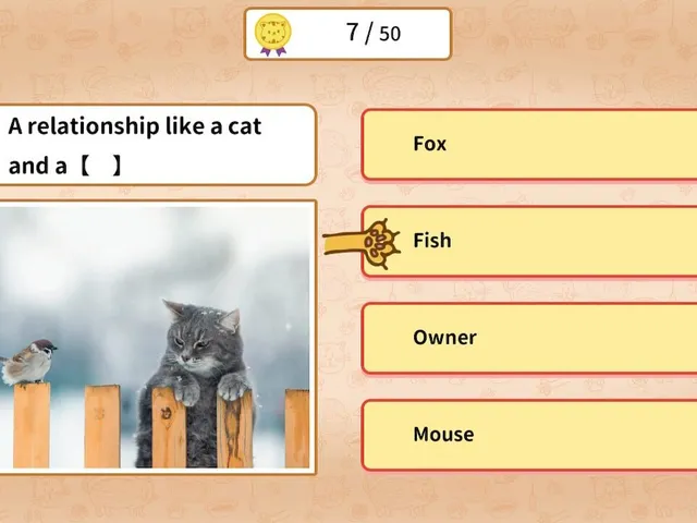 Quiz! Cat Proverbs Around the World