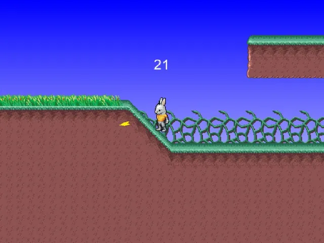 Rabbit Runner