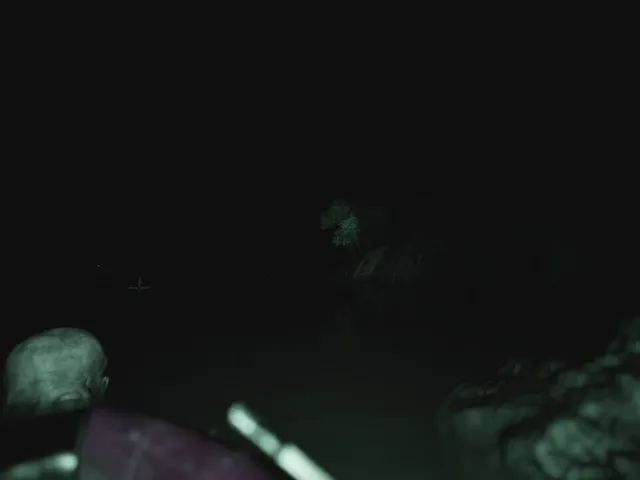 Raccoon on a Boat