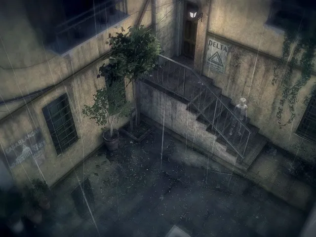 Rain