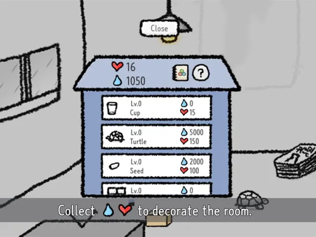 Rainy single room