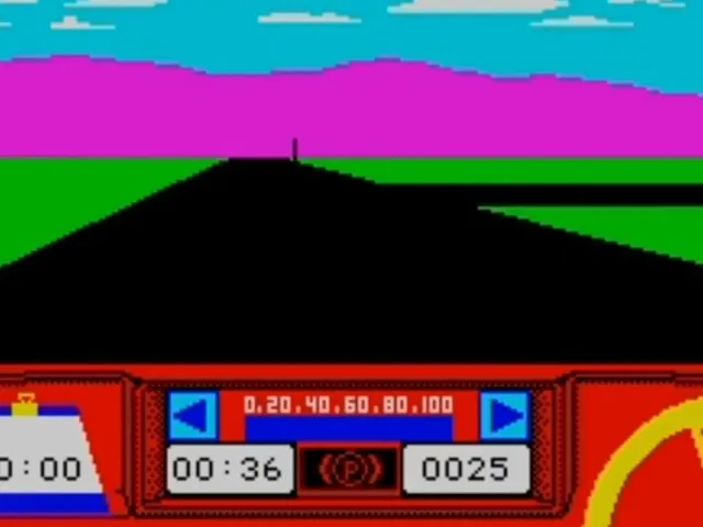 Rally Driver
