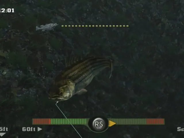 Rapala Fishing Frenzy 2009