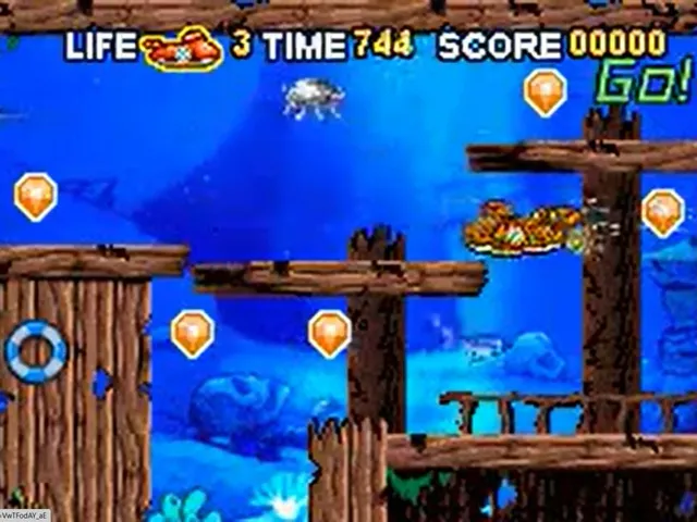 Rapid Stream
