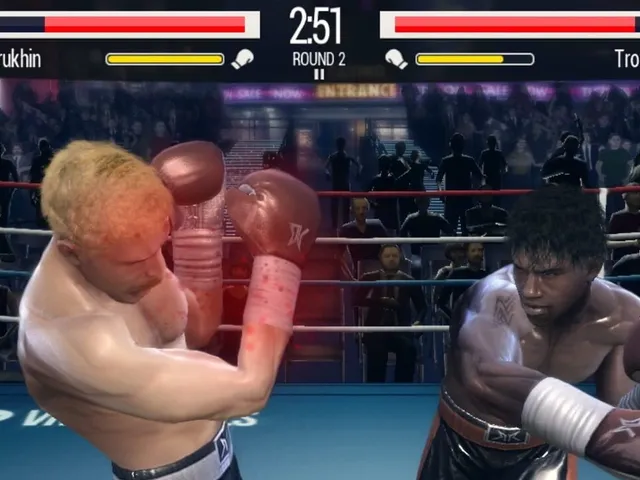 Real Boxing