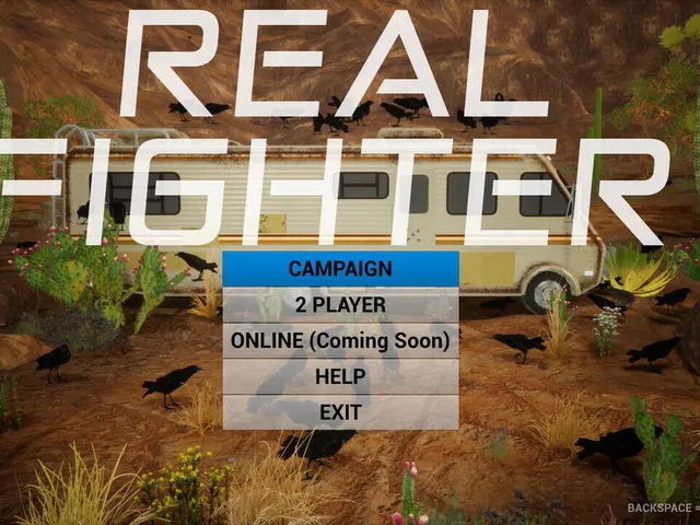 RealFighter