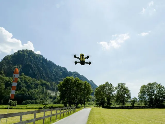 RealFlight 8