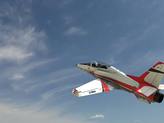 RealFlight Evolution