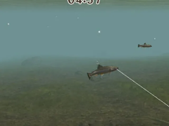 Reel Fishing Challenge II